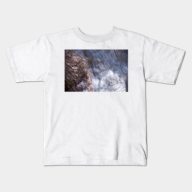 Tree Bark Kids T-Shirt by photosbyalexis